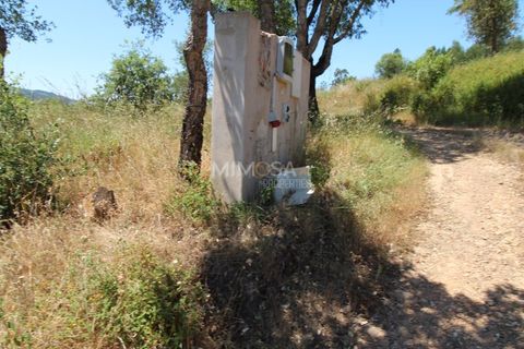 Helårsgrund i Monchique, Faro, Monchique - € 125.000 | Ref: T306 - foto 4
