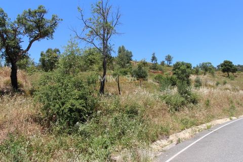 Helårsgrund i Monchique, Faro, Monchique - € 125.000 | Ref: T306 - foto 5