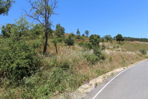 Helårsgrund i Monchique, Faro, Monchique - € 125.000 | Ref: T306 - foto 6