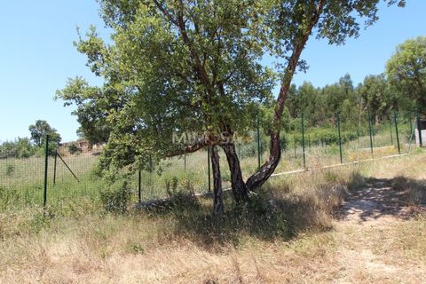 Helårsgrund i Monchique, Faro, Monchique - € 125.000 | Ref: T306 - foto 7