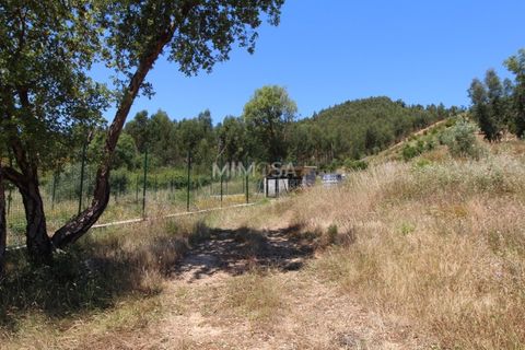 Helårsgrund i Monchique, Faro, Monchique - € 125.000 | Ref: T306 - foto 8