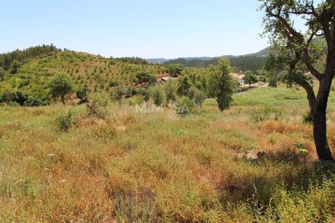 Helårsgrund i Monchique, Faro, Monchique - € 125.000 | Ref: T306 - foto 9