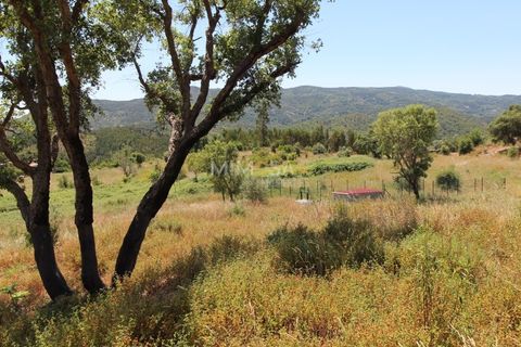 Helårsgrund i Monchique, Faro, Monchique - € 125.000 | Ref: T306 - foto 10