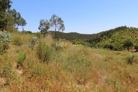 Helårsgrund i Monchique, Faro, Monchique - € 125.000 | Ref: T306 - foto 11