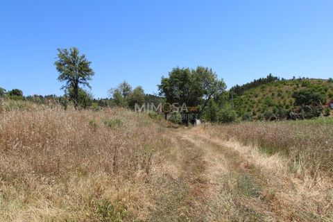 Helårsgrund i Monchique, Faro, Monchique - € 125.000 | Ref: T306 - foto 12