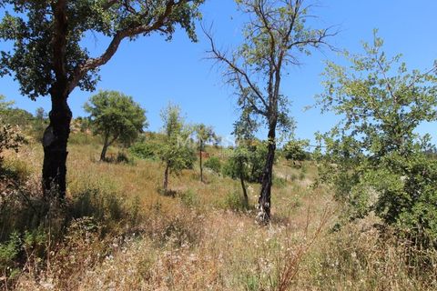 Helårsgrund i Monchique, Faro, Monchique - € 125.000 | Ref: T306 - foto 13