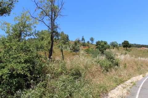 Helårsgrund i Monchique, Faro, Monchique - € 125.000 | Ref: T306 - foto 14