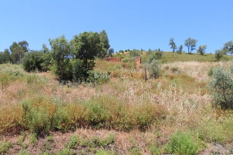 Helårsgrund i Monchique, Faro, Monchique - € 125.000 | Ref: T306 - foto 15