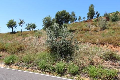 Helårsgrund i Monchique, Faro, Monchique - € 125.000 | Ref: T306 - foto 17