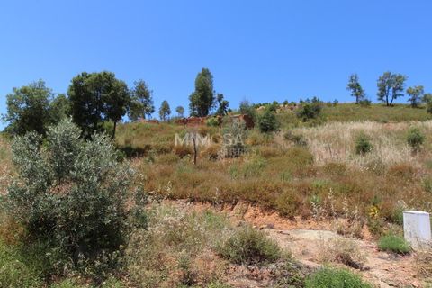 Helårsgrund i Monchique, Faro, Monchique - € 125.000 | Ref: T306 - foto 18