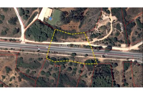 Tomt i Sagres, Faro, Sagres - € 25 000 | Ref: T310 - foto 8