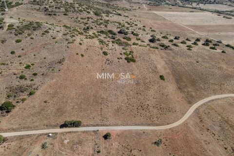 Terra a Budens, Faro, Budens - € 25.000 | Ref: T308 - foto 3