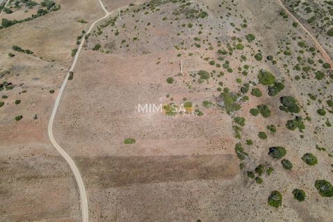 Terra a Budens, Faro, Budens - € 25.000 | Ref: T308 - foto 4