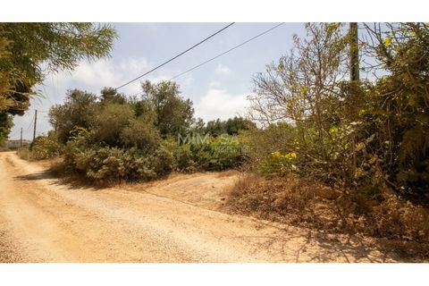 Helårsgrund i Luz, Faro, Luz - € 1.890.000 | Ref: T316 - foto 17