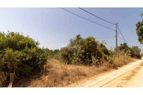 Helårsgrund i Luz, Faro, Luz - € 1.890.000 | Ref: T316 - foto 18