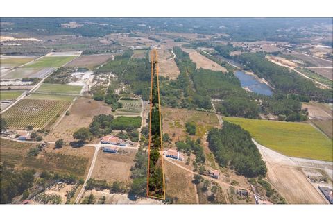 Helårsgrund i Rogil, Faro, Rogil - € 80.000 | Ref: T295 - foto 1