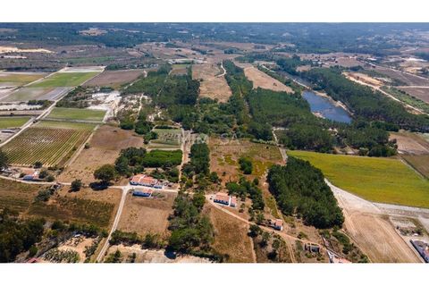 Helårsgrund i Rogil, Faro, Rogil - € 80.000 | Ref: T295 - foto 4