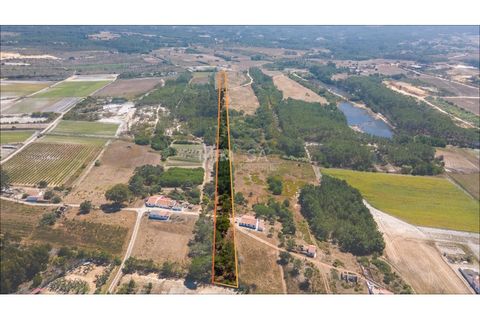 Helårsgrund i Rogil, Faro, Rogil - € 80.000 | Ref: T295 - foto 5