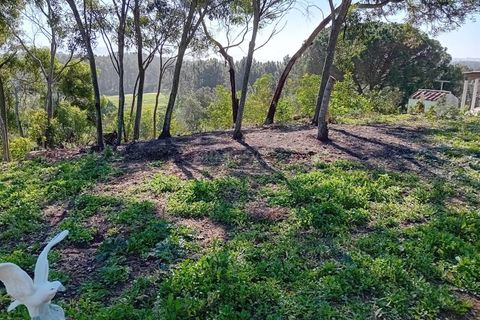 Helårsgrund i Rogil, Faro, Rogil - € 80.000 | Ref: T295 - foto 6