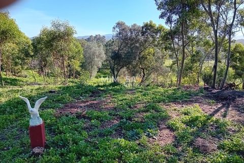Helårsgrund i Rogil, Faro, Rogil - € 80.000 | Ref: T295 - foto 7