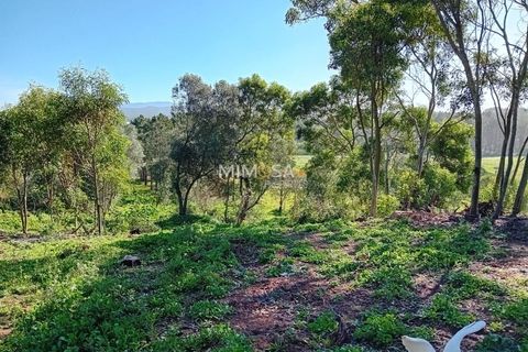 Helårsgrund i Rogil, Faro, Rogil - € 80.000 | Ref: T295 - foto 8