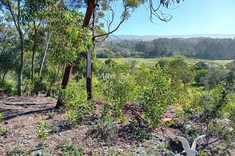 Helårsgrund i Rogil, Faro, Rogil - € 80.000 | Ref: T295 - foto 10