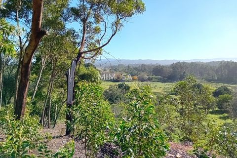 Helårsgrund i Rogil, Faro, Rogil - € 80.000 | Ref: T295 - foto 11