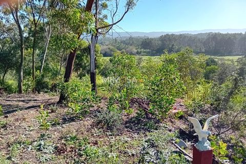 Helårsgrund i Rogil, Faro, Rogil - € 80.000 | Ref: T295 - foto 12