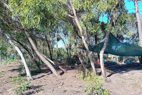 Helårsgrund i Rogil, Faro, Rogil - € 80.000 | Ref: T295 - foto 13