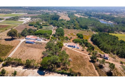 Helårsgrund i Rogil, Faro, Rogil - € 80.000 | Ref: T295 - foto 16