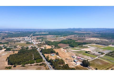 Helårsgrund i Rogil, Faro, Rogil - € 80.000 | Ref: T295 - foto 17