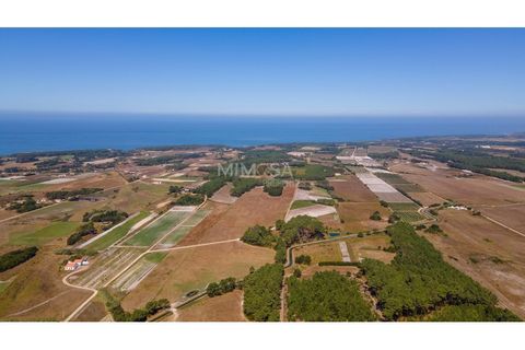 Helårsgrund i Rogil, Faro, Rogil - € 80.000 | Ref: T295 - foto 18