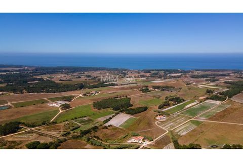 Helårsgrund i Rogil, Faro, Rogil - € 80.000 | Ref: T295 - foto 19