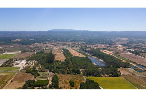 Helårsgrund i Rogil, Faro, Rogil - € 80.000 | Ref: T295 - foto 22
