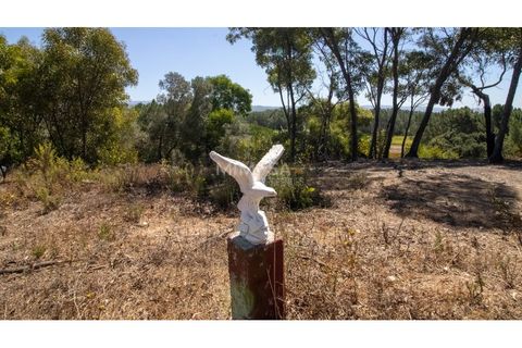 Helårsgrund i Rogil, Faro, Rogil - € 80.000 | Ref: T295 - foto 23
