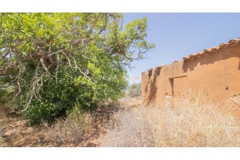 Terra a Luz, Faro, Luz - € 375.000 | Ref: T326 - foto 2