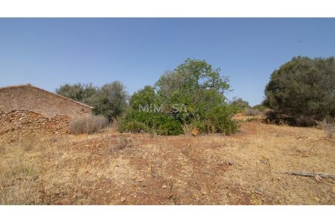Terra a Luz, Faro, Luz - € 375.000 | Ref: T326 - foto 3