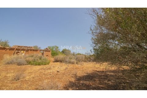 Terra a Luz, Faro, Luz - € 375.000 | Ref: T326 - foto 4