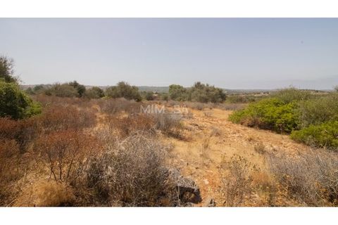 Terra a Luz, Faro, Luz - € 375.000 | Ref: T326 - foto 6