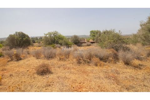 Terra a Luz, Faro, Luz - € 375.000 | Ref: T326 - foto 7