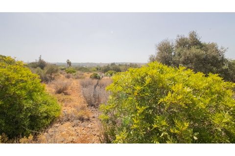 Terra a Luz, Faro, Luz - € 375.000 | Ref: T326 - foto 9