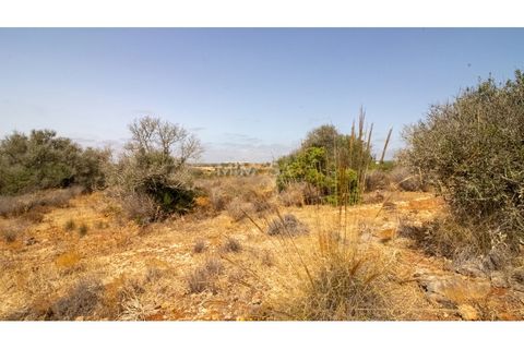 Terra a Luz, Faro, Luz - € 375.000 | Ref: T326 - foto 10