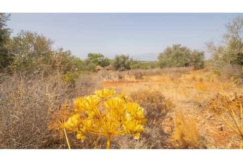 Terra a Luz, Faro, Luz - € 375.000 | Ref: T326 - foto 11