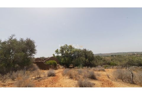 Terra a Luz, Faro, Luz - € 375.000 | Ref: T326 - foto 12