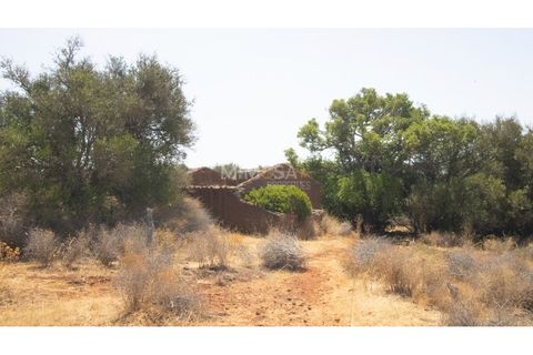 Terra a Luz, Faro, Luz - € 375.000 | Ref: T326 - foto 13