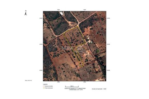Terra a Luz, Faro, Luz - € 375.000 | Ref: T326 - foto 14