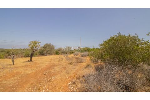 Terra a Luz, Faro, Luz - € 375.000 | Ref: T326 - foto 15