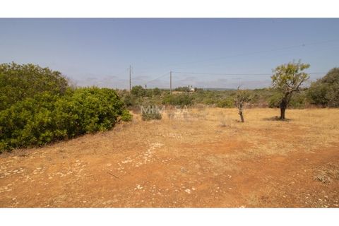 Terra a Luz, Faro, Luz - € 375.000 | Ref: T326 - foto 16