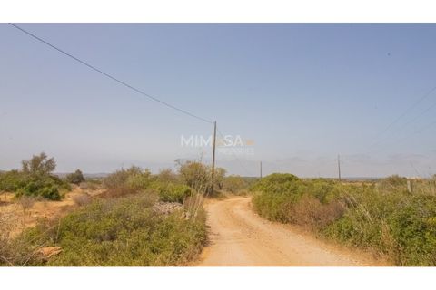 Terra a Luz, Faro, Luz - € 375.000 | Ref: T326 - foto 18