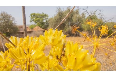 Terra a Luz, Faro, Luz - € 375.000 | Ref: T326 - foto 19
